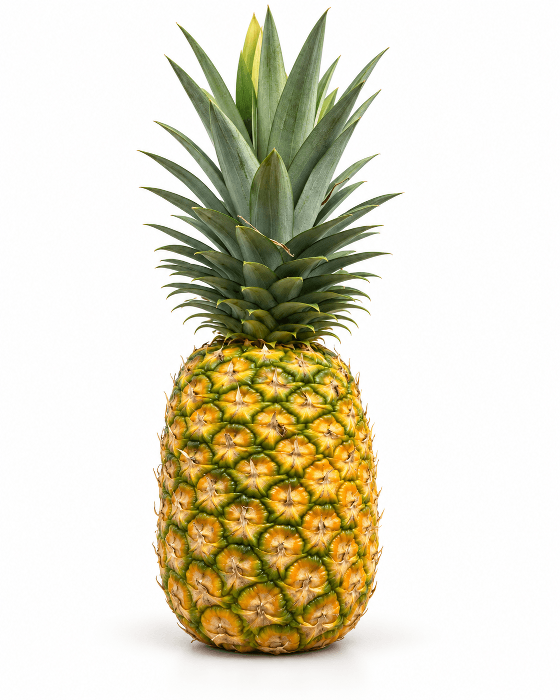 Pineapple grown in Panama